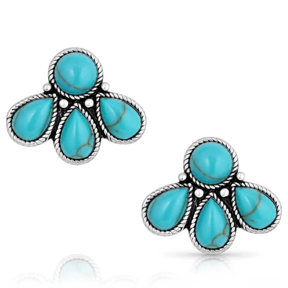 Nature's Wonder Turquoise Earrings ER5820